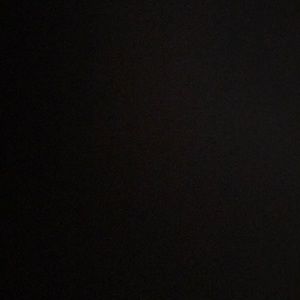 Meet your Posher, Raven